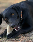 Ever Antler Nylon Chew Bone | Elk Antler Shaped Dog Toy for Aggressive Chewers | SodaPup