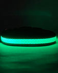 LED Dog Collar: Blue