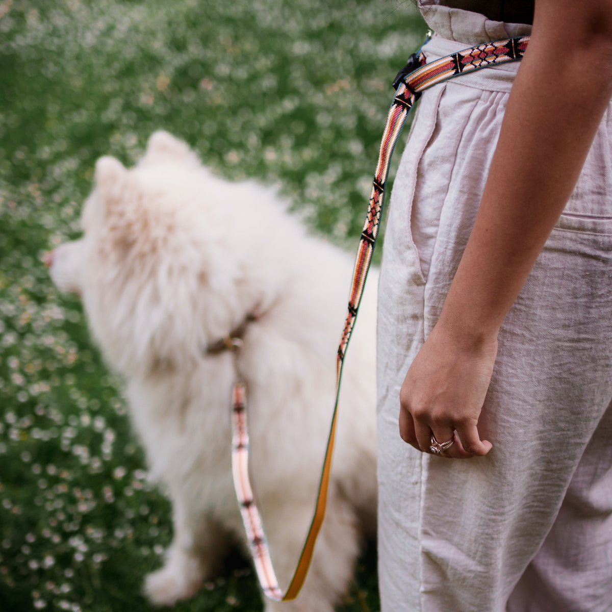 Adjustable Hands-Free Leash 3/4''