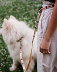 Adjustable Hands-Free Leash 3/4''