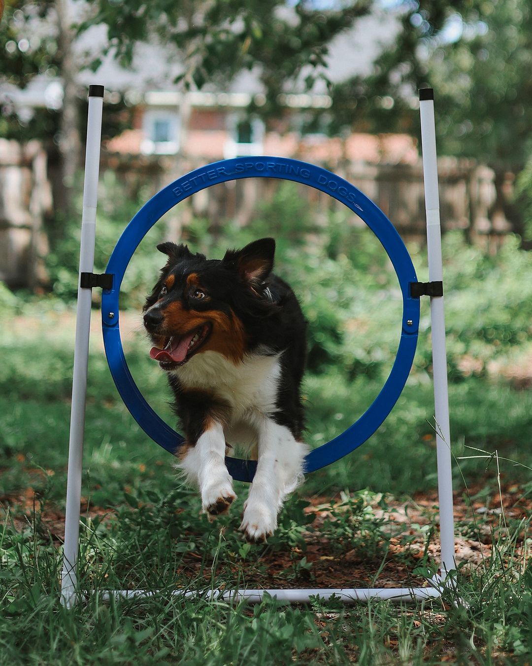 Upgraded Agility Equipment Set (7 Piece)