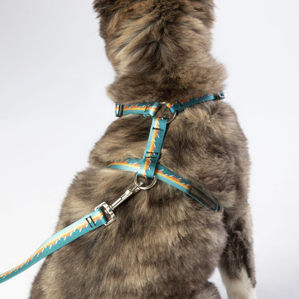 Escape Free Dog Harness 1''