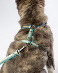Escape Free Dog Harness 3/4''