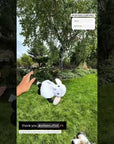 Destructibles  – The Ultimate Destruction Toy, Now Flirt Pole Compatible!