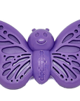 Butterfly Durable Nylon Chew and Enrichment Toy