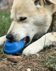 Flying Saucer Durable Rubber Chew Toy & Treat Dispenser