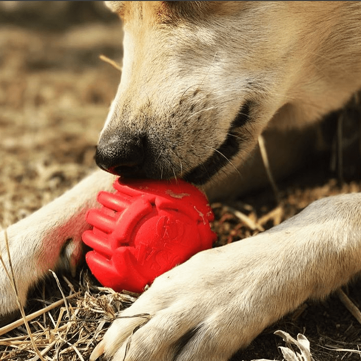 USA-K9 Stars and Stripes Ultra-Durable Rubber Chew Ball