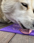 Bones Design eMat Enrichment Lick Mat