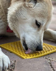 Honeycomb Design Emat Enrichment Lick Mat