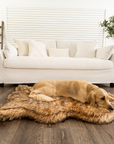 PupRug by Paw.com® Faux Fur Orthopedic Dog Bed - Curve Sable Tan