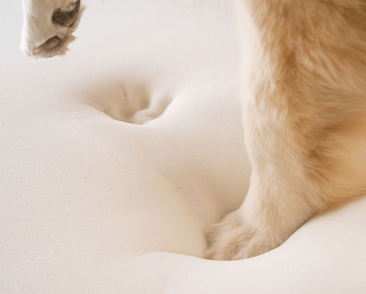 PupRug by Paw.com® Faux Fur Orthopedic Dog Bed - Curve Sable Tan