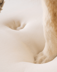 PupRug by Paw.com® Faux Fur Orthopedic Dog Bed - Curve Sable Tan
