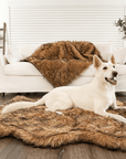 PupRug by Paw.com® Faux Fur Orthopedic Dog Bed - Curve Sable Tan