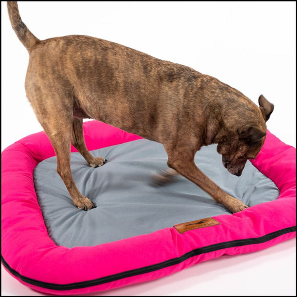 SwiftPaws Pet Bed