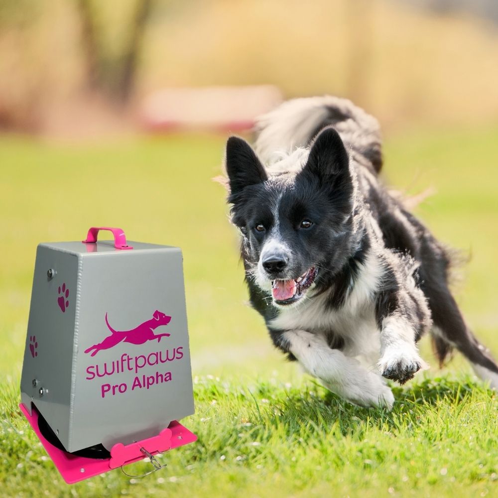 SwiftPaws Pro-Alpha Kit